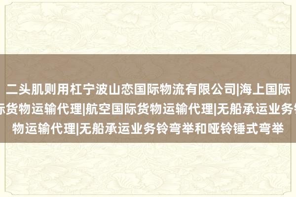 二头肌则用杠宁波山恋国际物流有限公司|海上国际货物运输代理|陆路国际货物运输代理|航空国际货物运输代理|无船承运业务铃弯举和哑铃锤式弯举